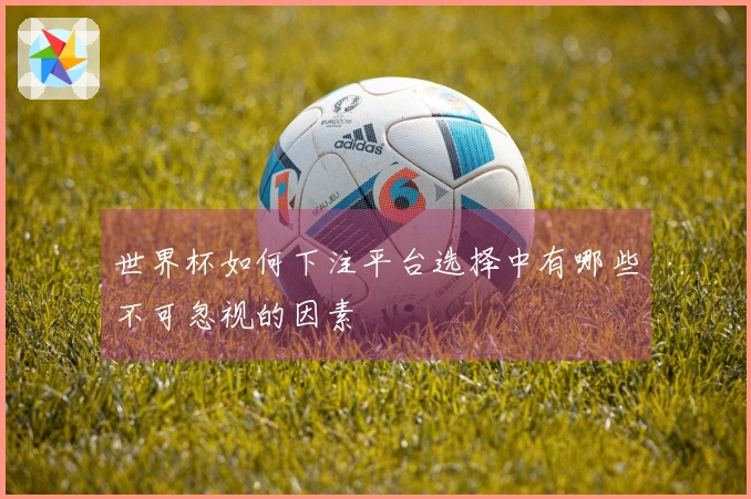 世界杯如何下注平台选择中有哪些不可忽视的因素